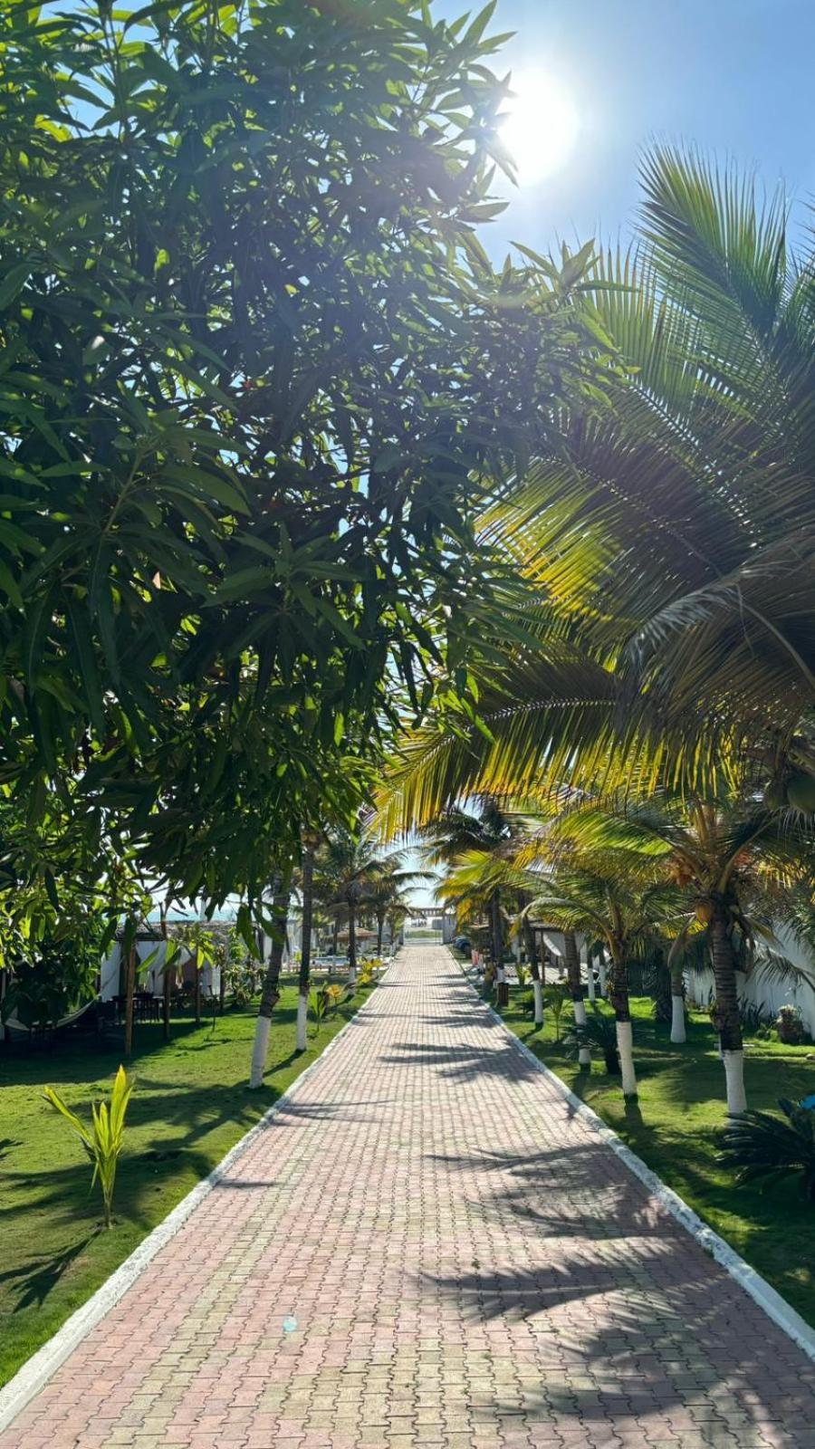 Hotel La Mar Playas Kültér fotó
